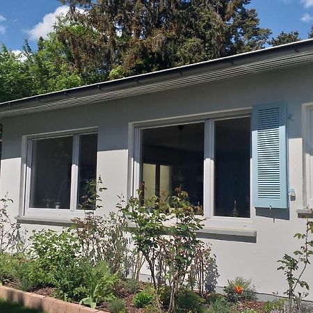 Gartenchalet Rotkehlchen Bad Homburg vor der Hoehe Luaran gambar