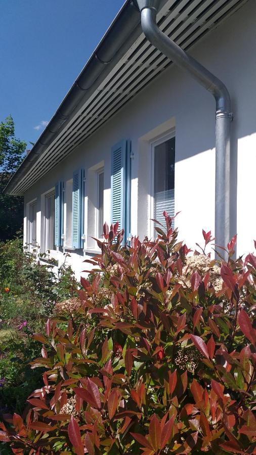Gartenchalet Rotkehlchen Bad Homburg vor der Hoehe Luaran gambar