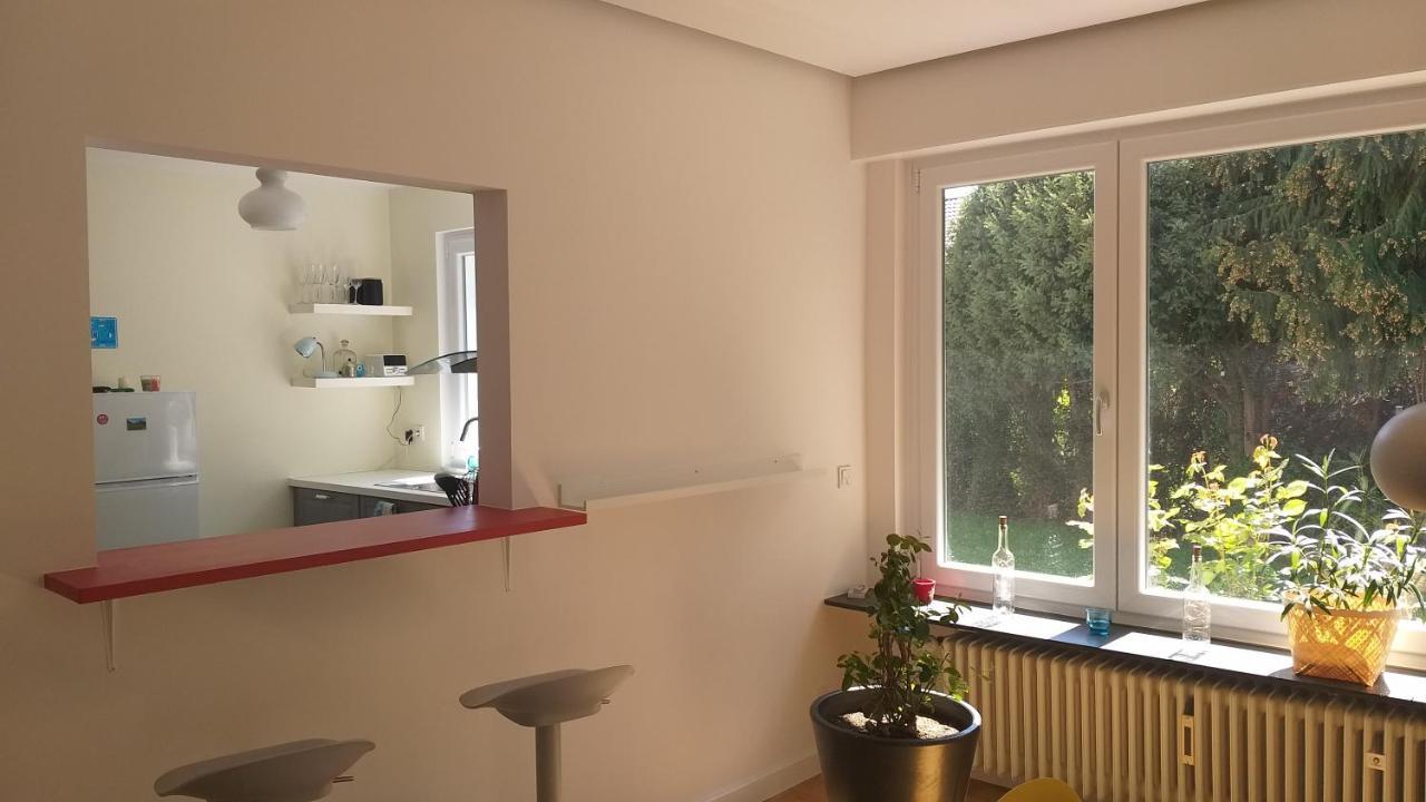 Gartenchalet Rotkehlchen Bad Homburg vor der Hoehe Luaran gambar